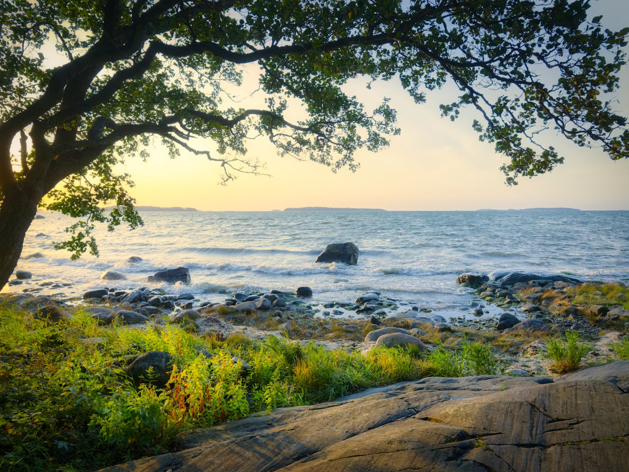 our-mission Captivating sunrise over Helsinki coastline with rocky shore and lush greenery.