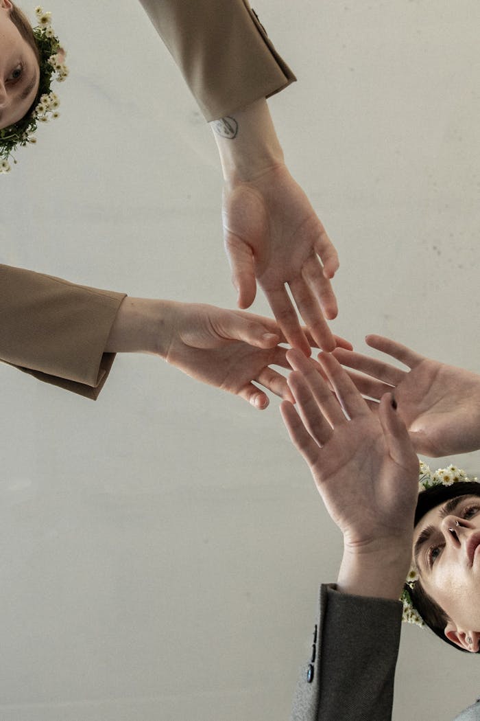 Four diverse hands reaching out, symbolizing unity and connection in an artistic composition.